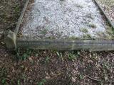 image of grave number 113577